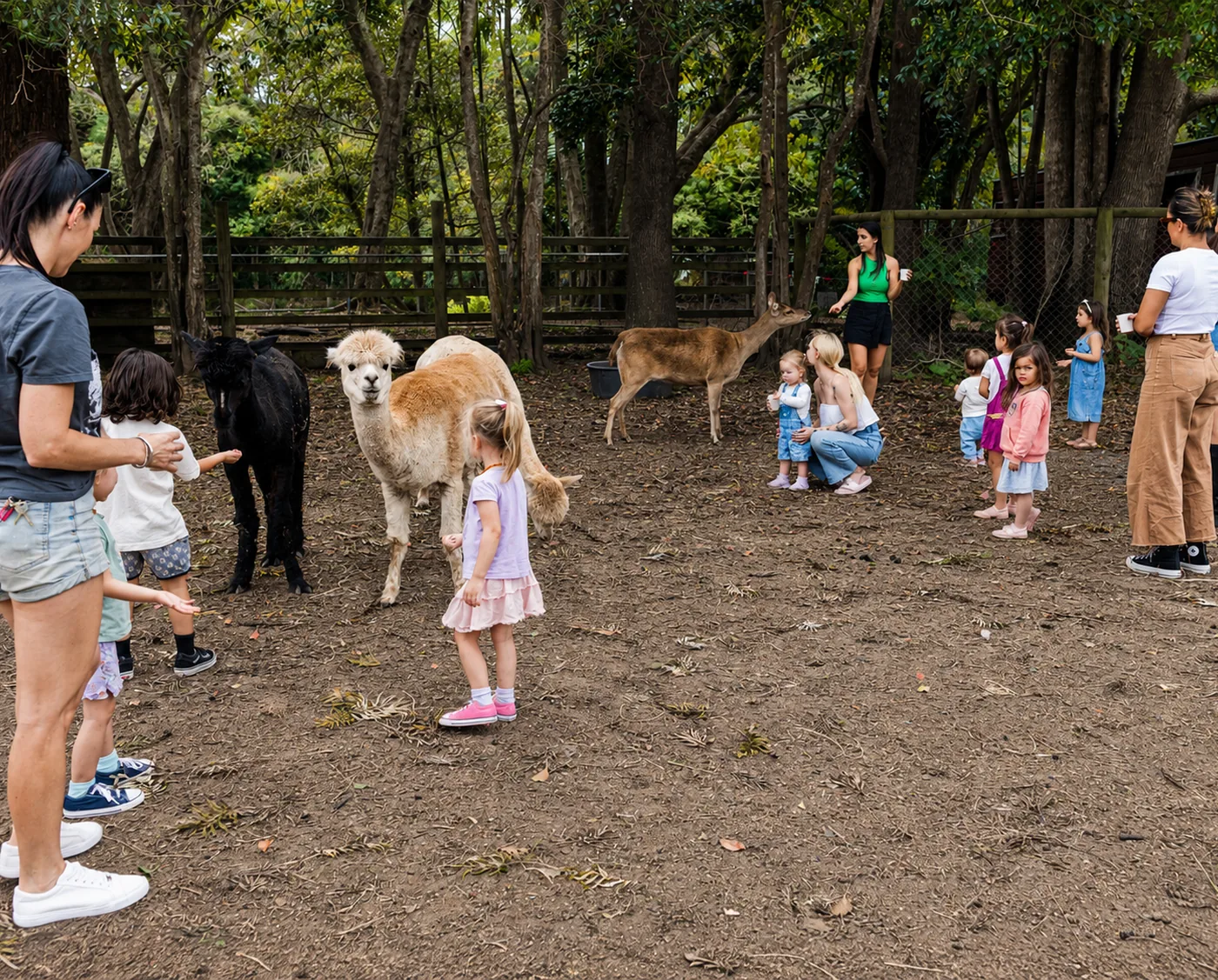 A school group meeting the alpacas with a guide at Historic Rivermill