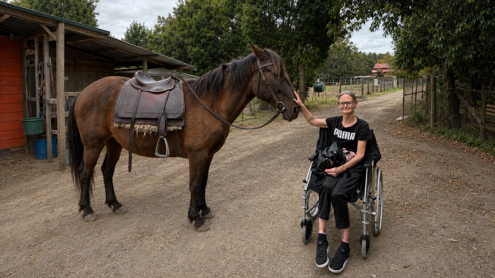 A visitor in a wheelchair meeting one of the horses on the farm track at Historic Rivermill